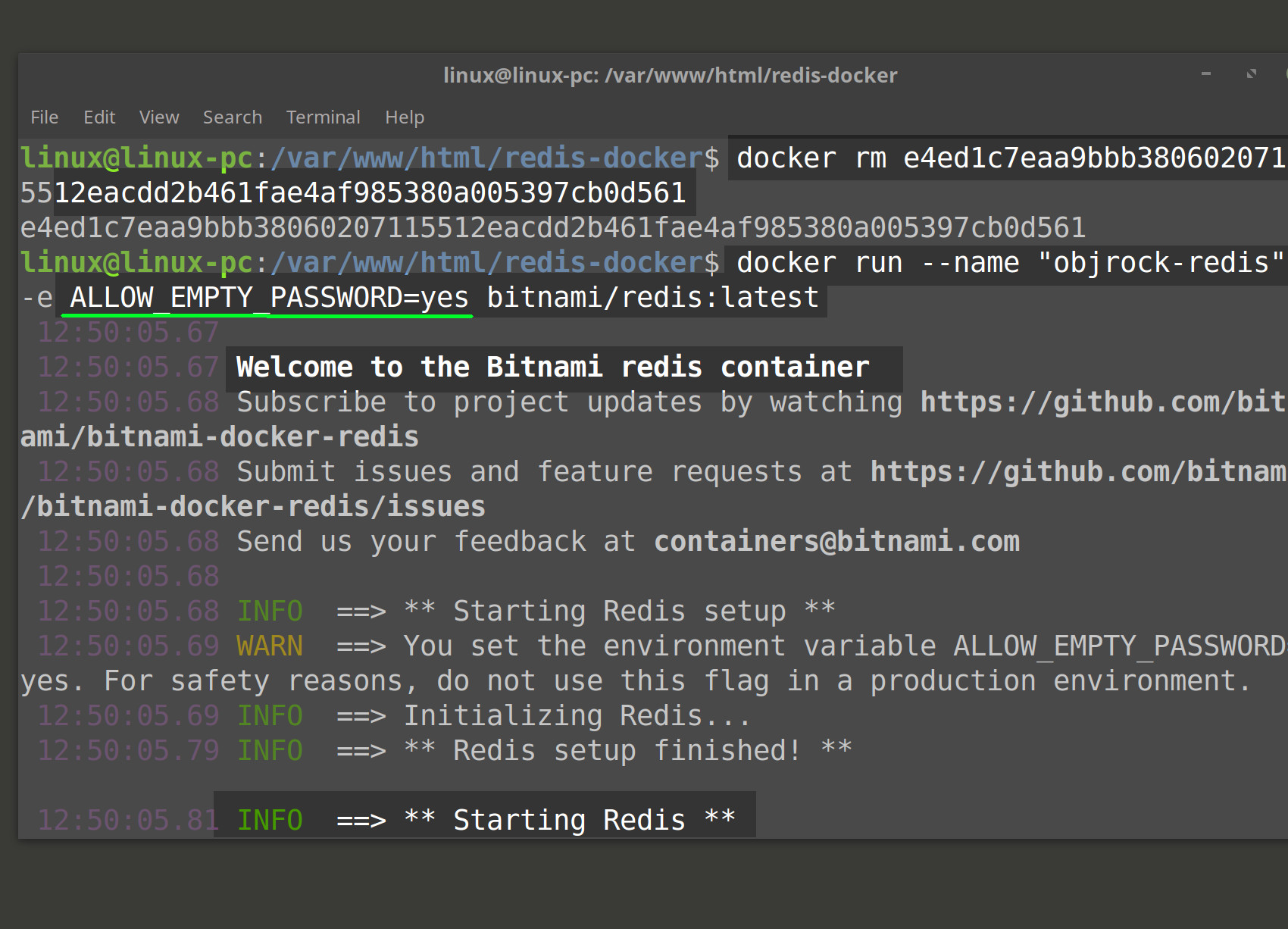 Screenshot of Redis Docker container running without password set