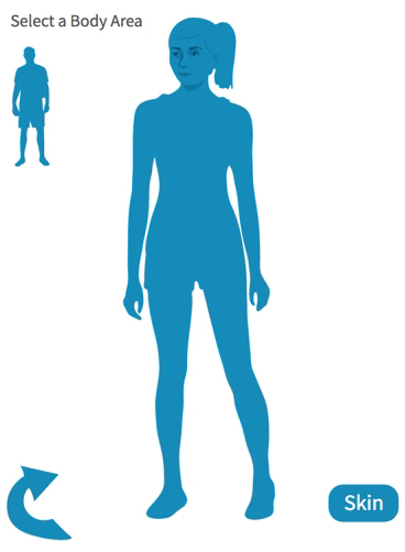 Female Homunculus