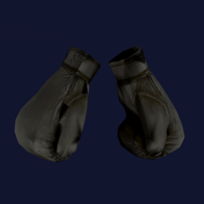 Black Boxing Gloves