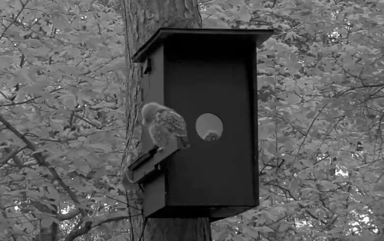 812e0782084d3f78e10442b6324ebcca.gif