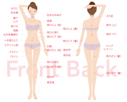 シースリーの脱毛範囲画像 シースリーの脱毛範囲画像