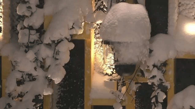 81b7c73d4ed15c5d5bae14342981ff41.gif