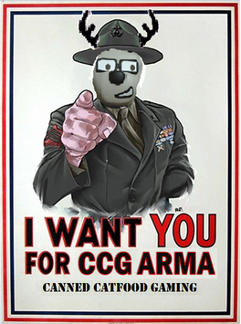 i-want-you-for-ccg-arma