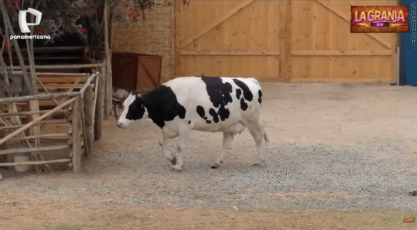 822dc7a98b3713d2794f328fb1b7c41e.gif