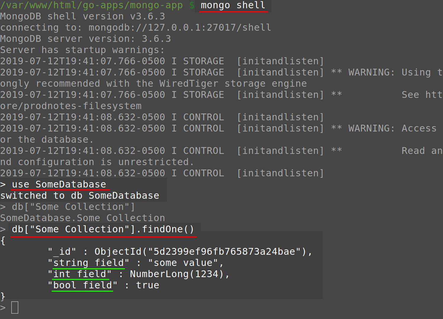 Screenshot of mongo Shell in a terminal getting a document in a MongoDB collection