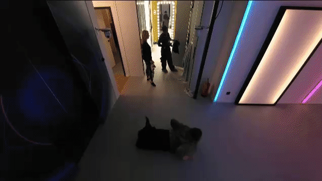 8382e5a8cef8489fe005c75c21b86a41.gif