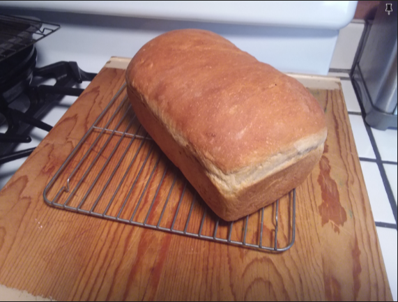 9.25x5.25 Large Loaf Cake Baking Pan