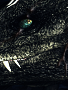 84de92c0799538093145985975a5ccc6.png