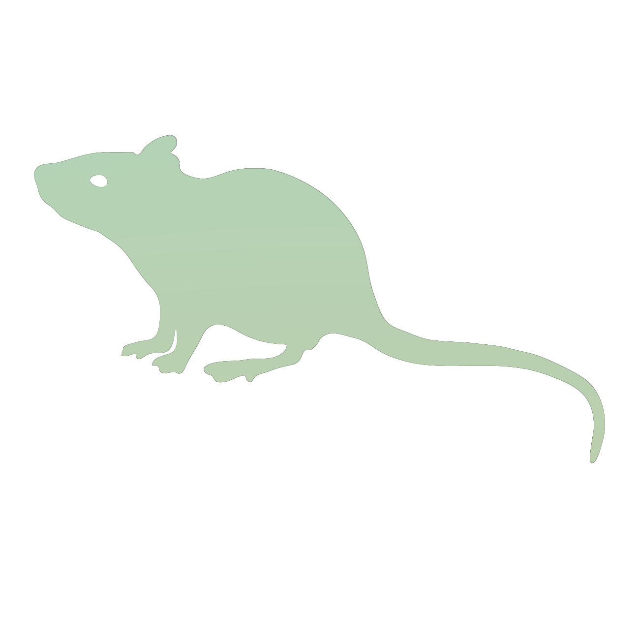 mouse