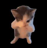 JUTAWANBET