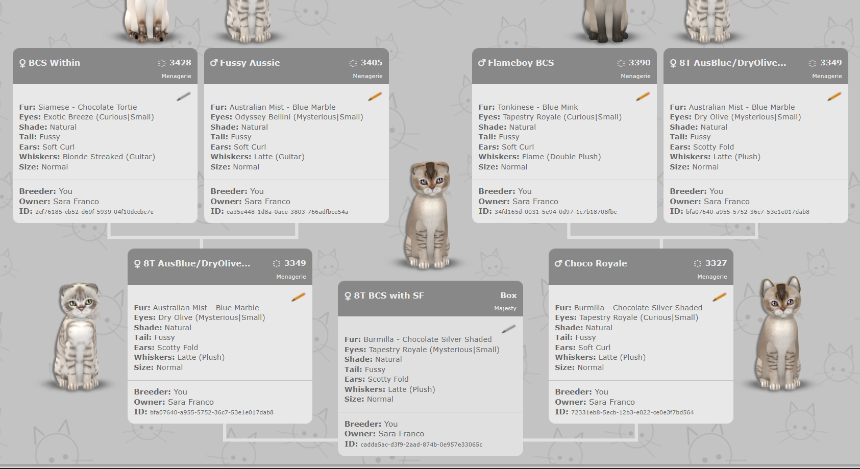 [Image: 8560a6f6b2086a382555b8bed78138f0.png]