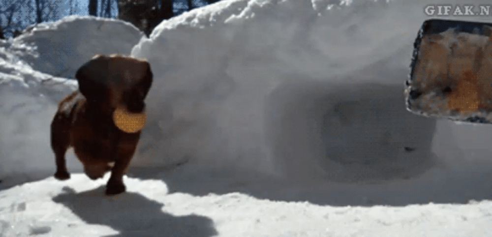 85aeebcc79abfa075bc27c0f7ab00805.gif