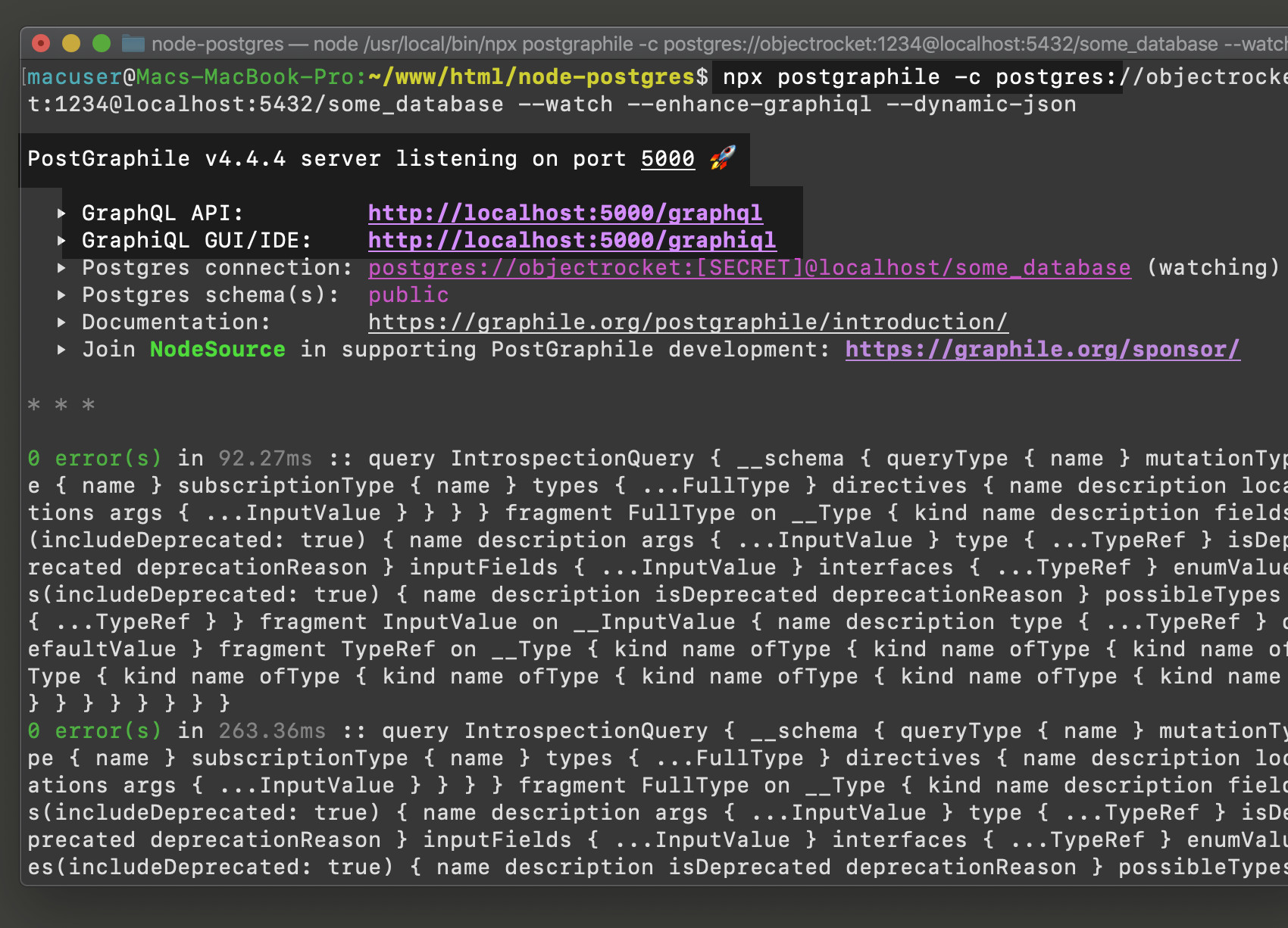 Screenshot of postgraphile API running in terminal on port 500
