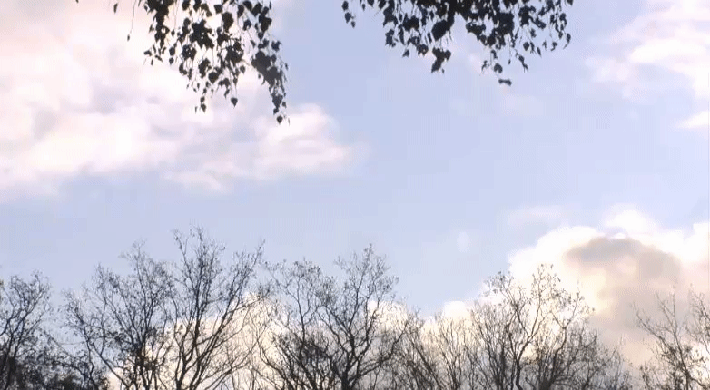 872a5c41362cee0da943487b0a5f82ab.gif