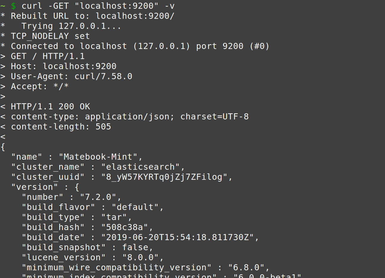 Screenshot of a terminal window making a cURL request to the Elasticsearch cluster