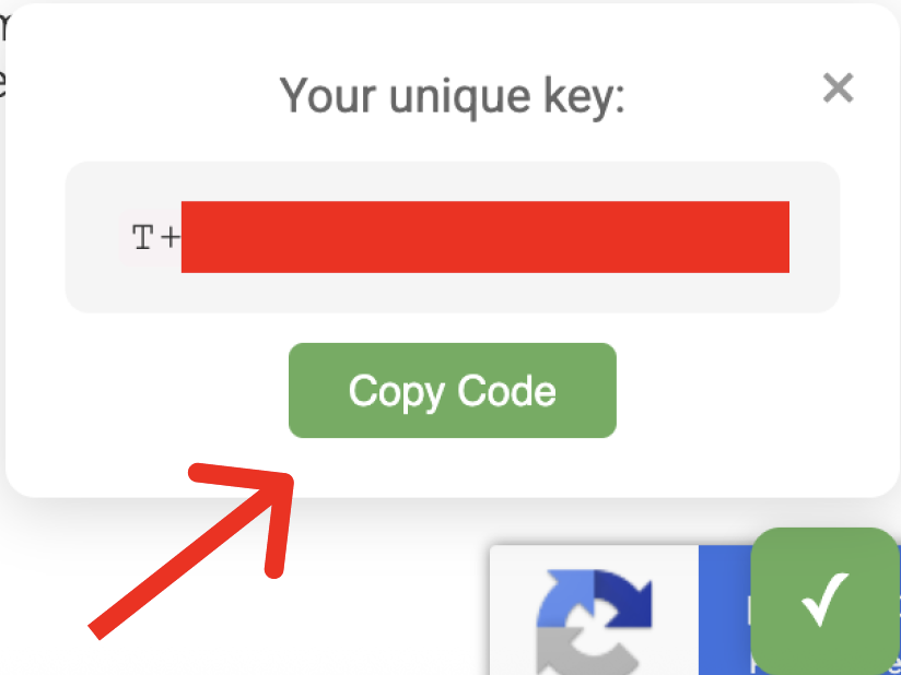 Verification Code Example