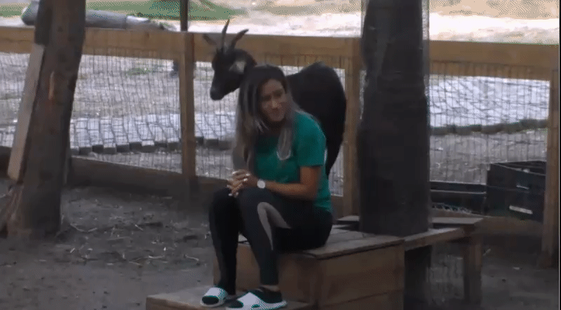 8918528e2ab6aeecdde8be933f711e11.gif