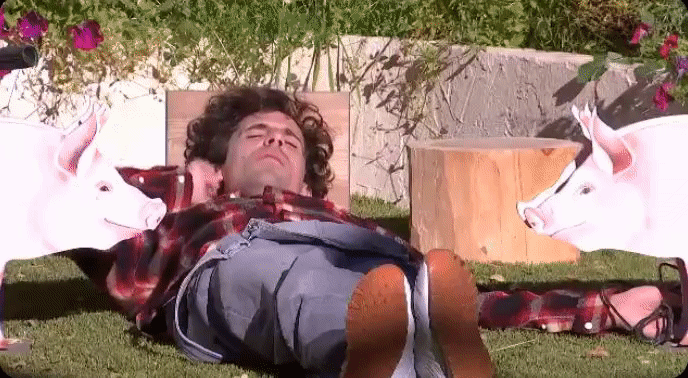8a241069932bfd6d1360fa488fbd7a95.gif