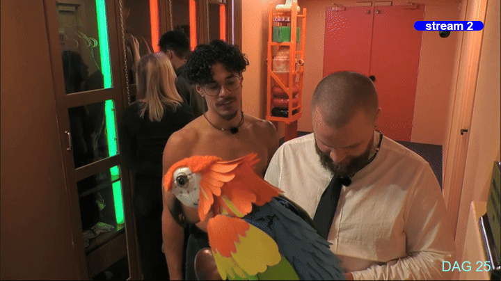 8afab9b5c671fa2884b3afb4596b56a7.gif