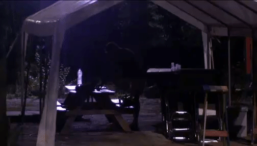8b11d034d0fb715f9eedf060cf15c1e0.gif