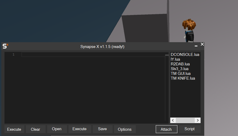 Roblox Scripting Tostring
