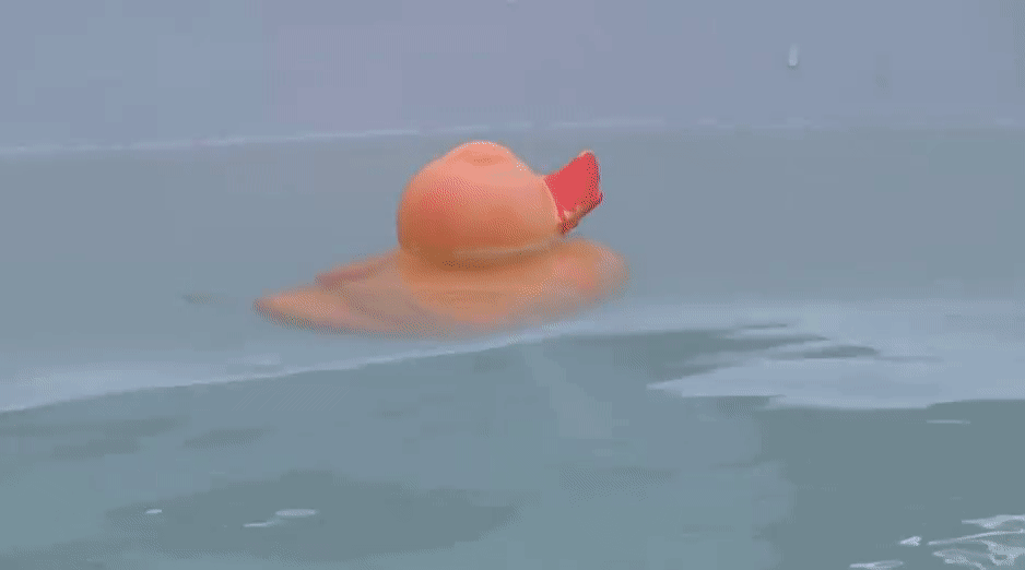 8b852d3400762cb9282358a2d5f7a92b.gif