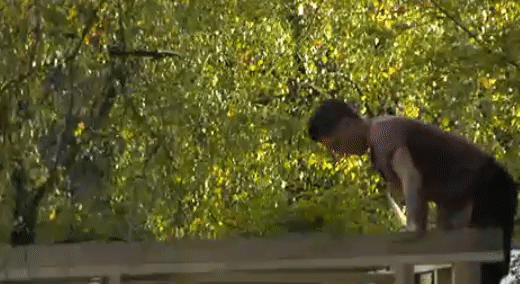 8bc6794a69700a0c766dcaecf3dc9bfb.gif