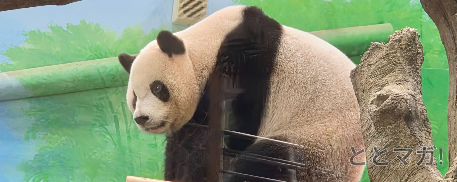 台北動物園のパンダ館は