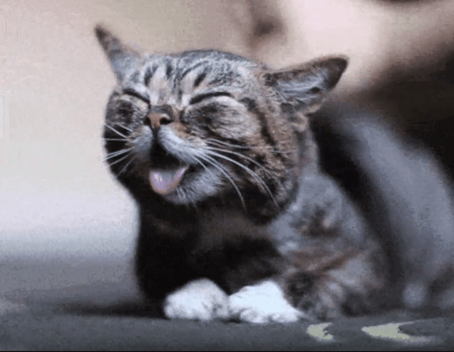 8c2c8f853ac76ab260158ca04a89000d.gif