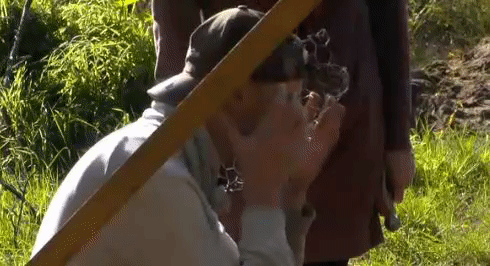 8c8149018e7ca51a6eb6bcfadeea4878.gif