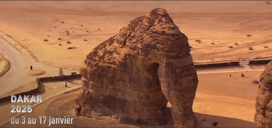 elephant-alula-sar