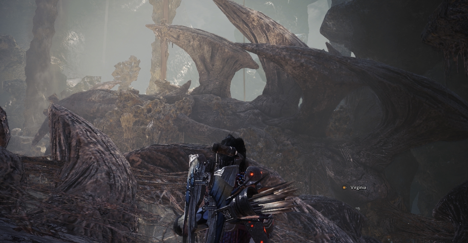 Anyone else notice this giant Dalamadur carcass? : MonsterHunter