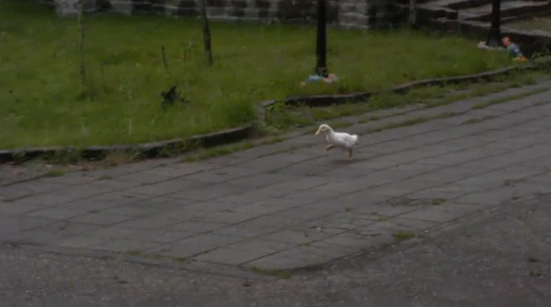 8d8b581afcec59eb471d3acb6b030135.gif