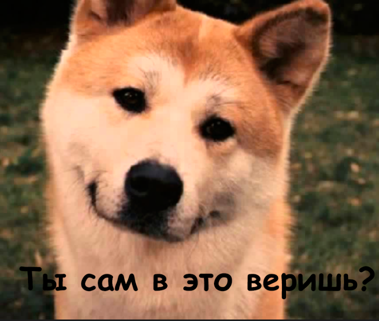 8d9ffe4ce913c8e7221d4fa53d4e0dd5.png