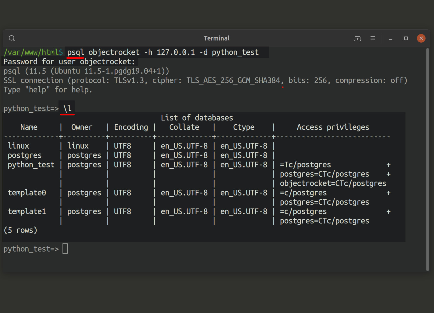 Insert psql