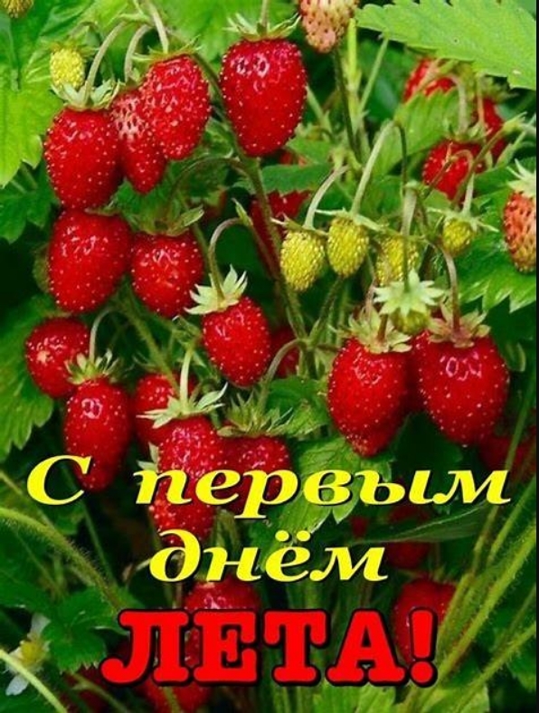 https://i.gyazo.com/8e598784320c392c53c5fce4cf99c063.jpg