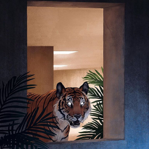 8f27bde4ab43e5fb9f985725d0275724.png