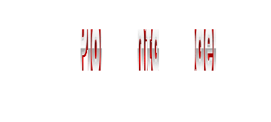 Logo PIONTOGEL