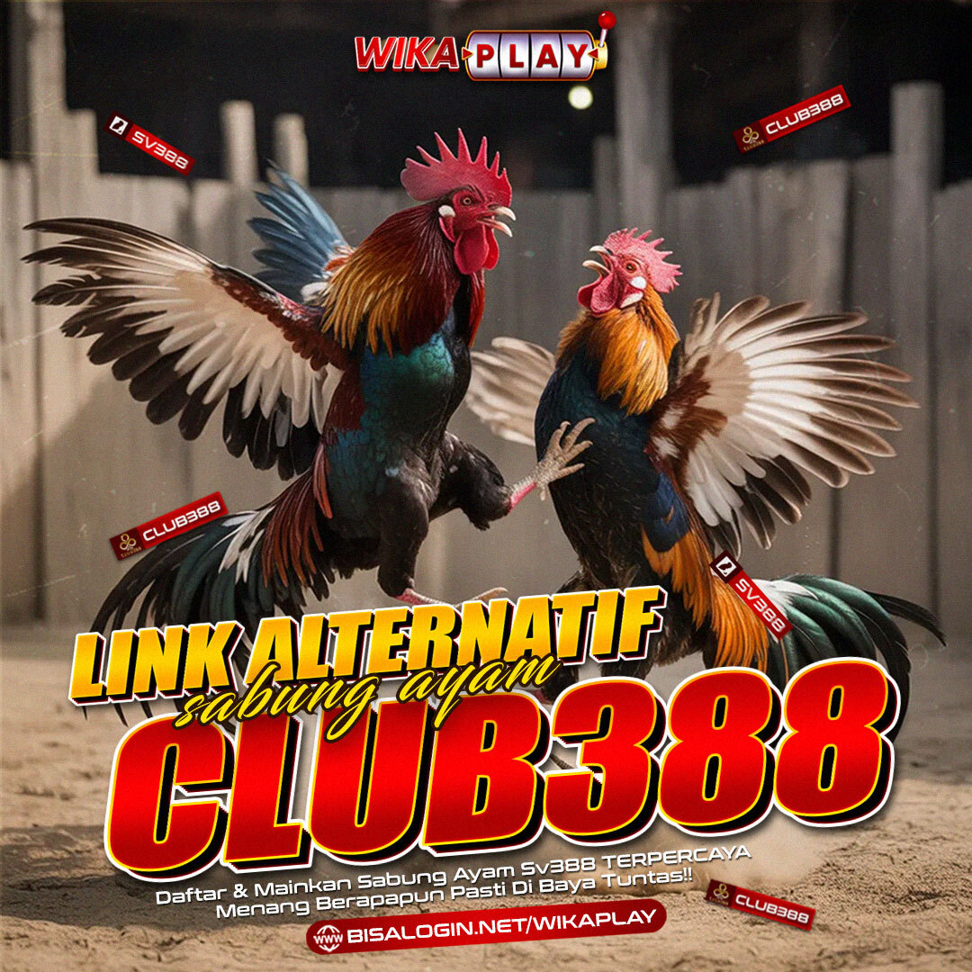 LINK ALTERNATIF WIKAPLAY : Agen Sabung Ayam Online CLUB388 Terpercaya