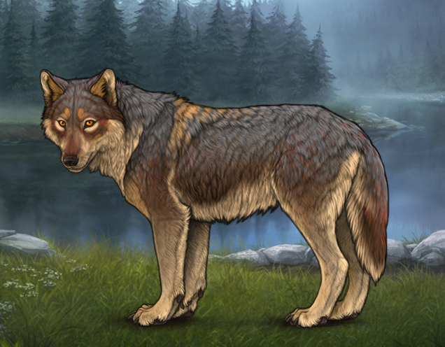 piebald wolf