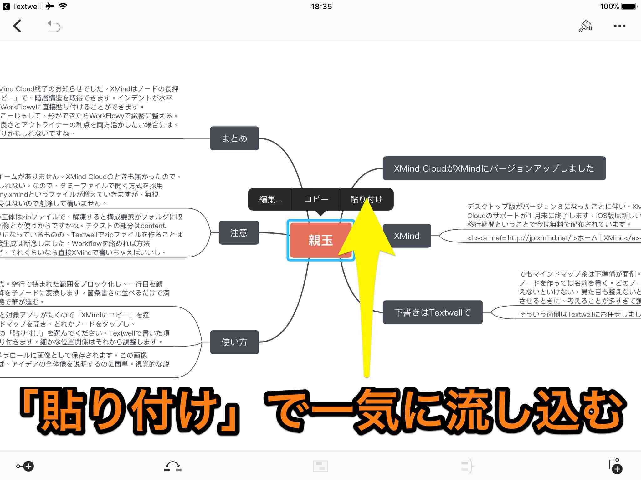 Xmindはテクスト分析のためのフードプロセッサーである W R Jazzと読書の日々