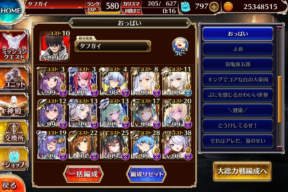 圧巻のボリューム！こだわりのおっぱい編成を披露し合うの参考画像 - わんにゃんランド - アイギス攻略まとめ