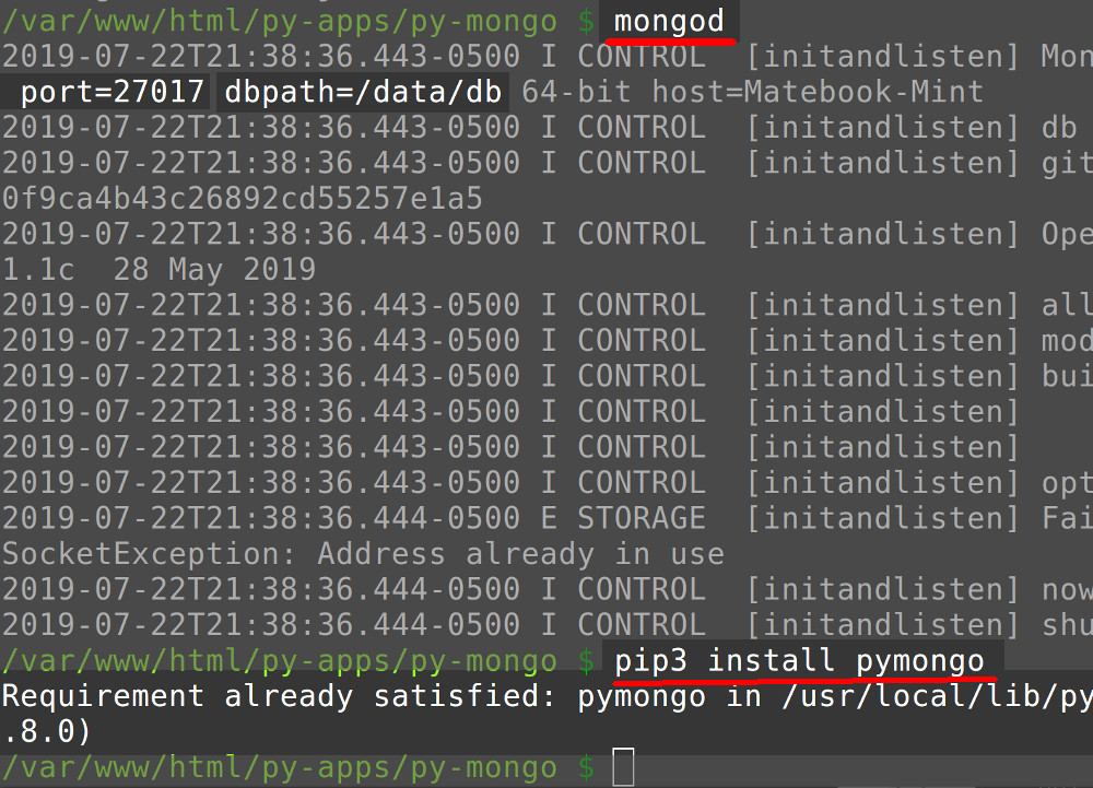 Terminal screenshot checking MongoDB status with mongod and PIP installing PyMongo