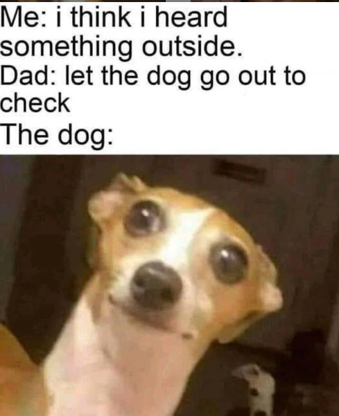 9252aae1230e3c7a0df354be2c733005.png