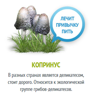 какое лекарство от запаха изо рта какое лекарство от запаха изо рта