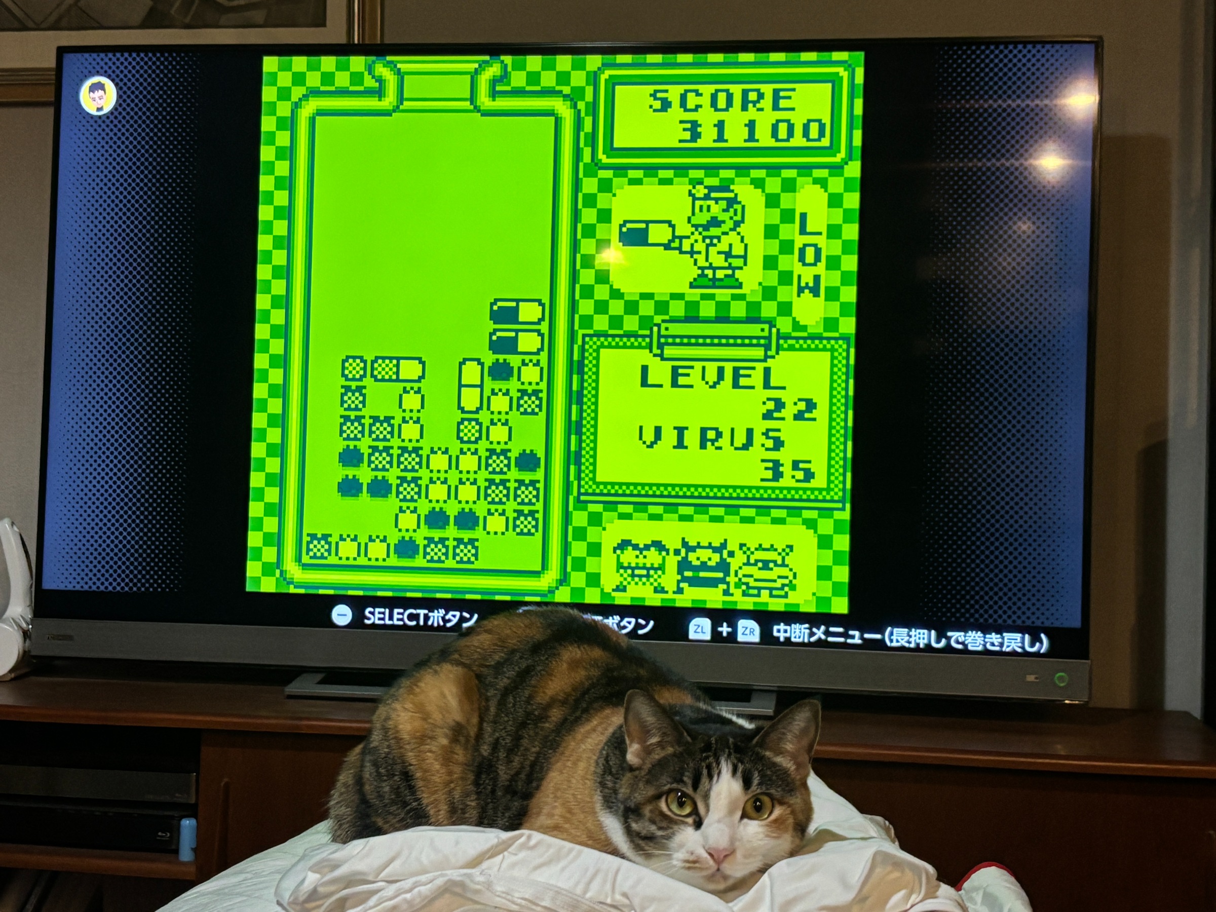 20250409 形骸化しつつあるインプット