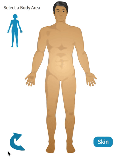 Male Homunculus