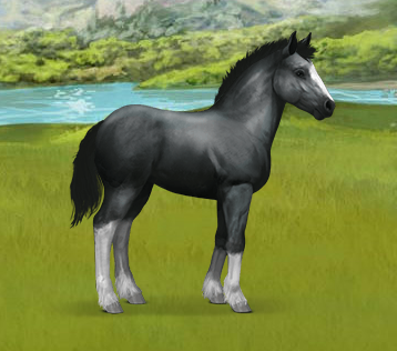 http://i.gyazo.com/9329a6e4ff42ac82e072d88e4e9f3206.png