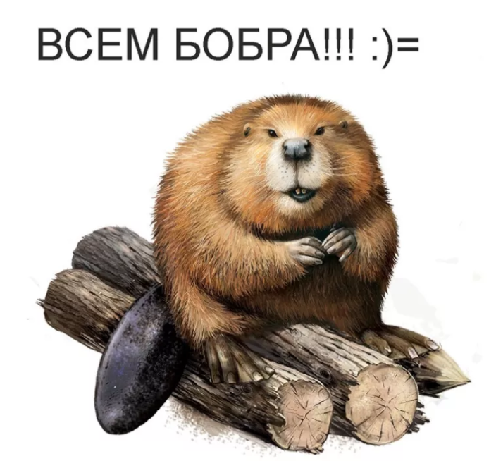 940b22c970493e8c916719b993cf9ac1.png