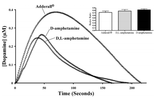 adderall and caffeine cross tolerance